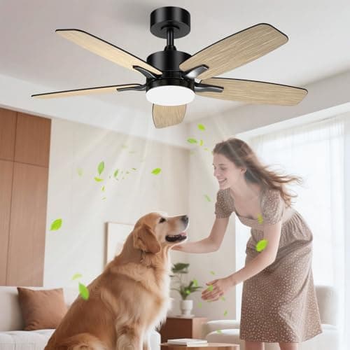 Airwit Ventilador de Techo con Luz