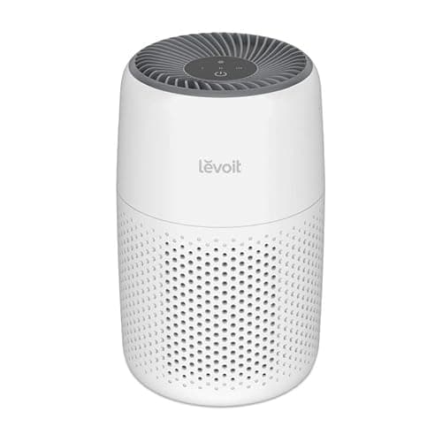 LEVOIT Core Mini